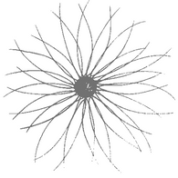 Luke's Flower