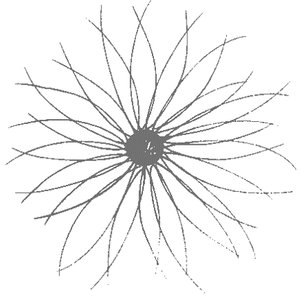 Luke's Flower